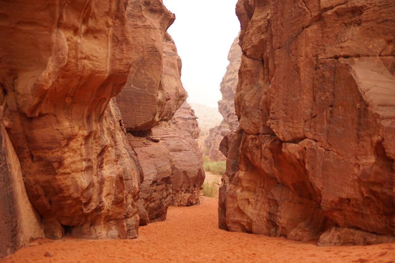 Quite Bedouin Life Hotel Wadi Rum Exterior foto
