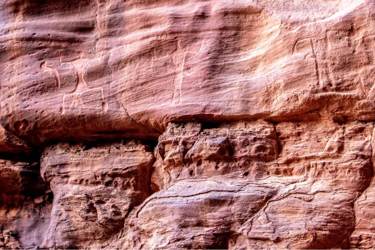 Quite Bedouin Life Hotel Wadi Rum Exterior foto